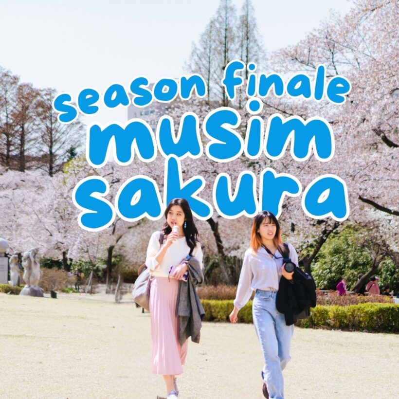 [April]  Paket Wisata Musim Sakura Korea 2025: Busan & Seoul + Sky Capsule (6 Hari 5 Malam) | Start Jakarta